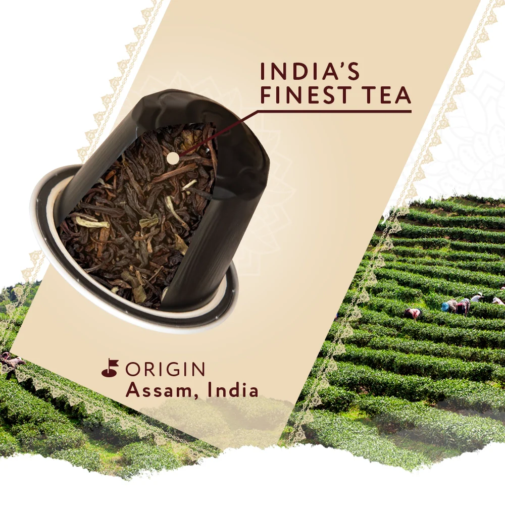 Coffeeza Assam Tea Capsules, India's Finest Tea in Aluminium Capsules - Image 4