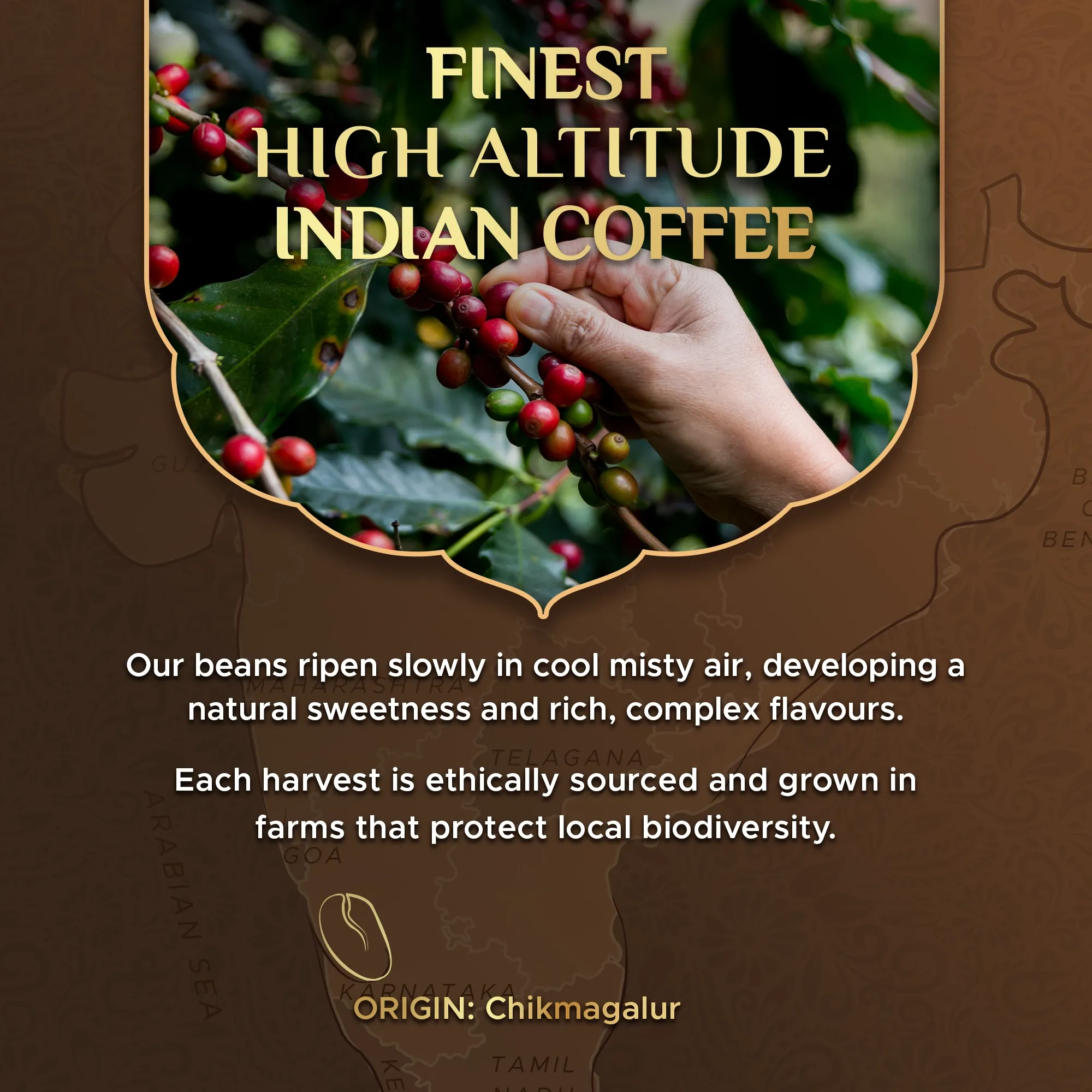 Cremoso Aluminium Coffee Capsules - Image 7