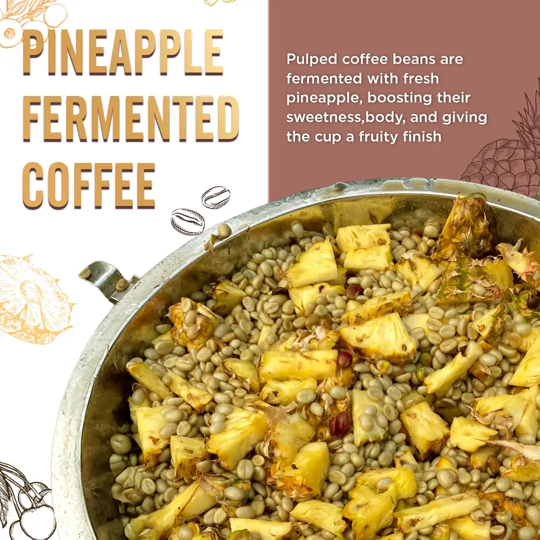 Pineapple Fermented Coffee – Single-Estate, 100% Arabica Coffee Capsules - Image 5